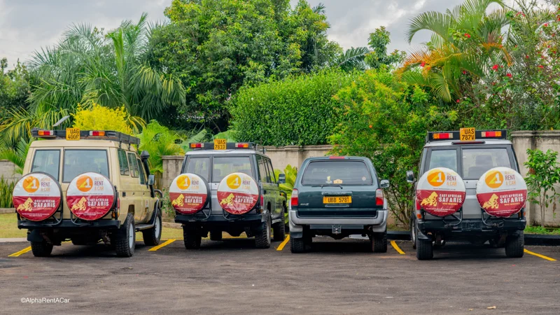 Self Drive - Alpha Rent A Car service featuring premium vehicles and professional guidance